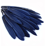 plume palette doie bleu fonce