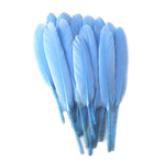 plume palette d'oie bleu nattier