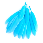 plume palette doie bleu lagon