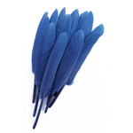 plume palette doie bleuet
