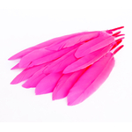 plume palette doie petite rose fluo
