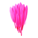 plume palette d'oie rose fluo