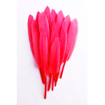 plume palette doie petite corail fluo