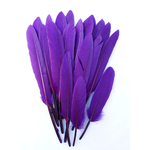 plume palette doie petite violet iris