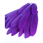 plume palette doie violet iris