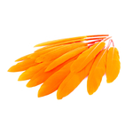 plume palette doie petite orange fluo