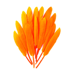 plume palette doie orange fluo