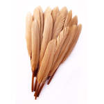 plume palette doie beige