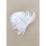plume autruche mini blanc mariage