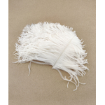 plume autruche mini ecru