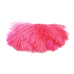 plume autruche mini corail fluo de qualite