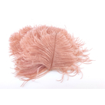 plume autruche mini poudre