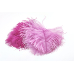 plume autruche mini rose horthensia
