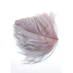 plume autruche mini rose grise