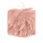 plume autruche mini rose poudre