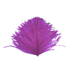plume autruche mini fushia
