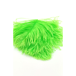 plume autruche mini vert fluo