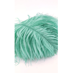 plume autruche mini vert celadon