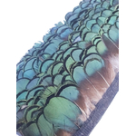 frange plume faisan lady bronze