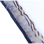 galon plume medaillon perdri bleu brun