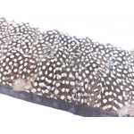 frange plume points naturel
