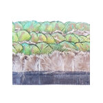 galon plume pan vert naturel