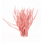 frange plume biot doie rose indien de qualite