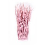 frange plume biot doie rose buvard