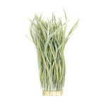 frange plume biot doie vert celadon