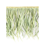 galon plume tige doie vert celadon