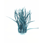 frange plume biot doie petrole