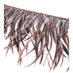 galon plume tige doie marron