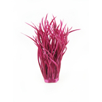 frange plume biot doie bordeaux