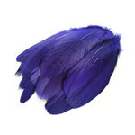 plume nageoire doie violet iris