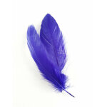 plume nageoire doie violet