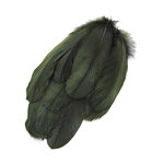 plume nageoire doie vert foncé