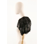 etole plume coq noir
