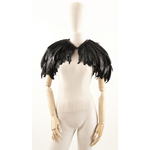 etole plume coq noir brillant