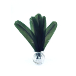 plume palette de dinde rigide vert fonce