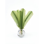 plume palette de dinde vert tilleul