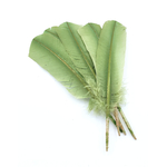 plume palette de dinde rigide vert tilleul
