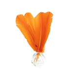 plume palette de dinde rigide orange