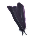 plume palette de dinde rigide violet fonce