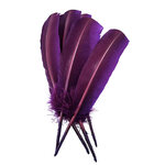 plume palette de dinde violet iris