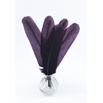 plume palette de dinde raisin