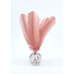 plume palette de dinde rose poudre