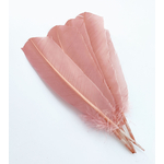 plume palette de dinde rigide rose poudre
