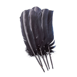 plume palette de dinde rigide noir