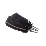 plume palette de dinde grande noir