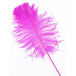 plume petite autruche fushia legere